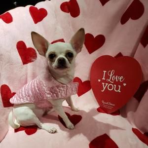 Meet your Posher, Hope